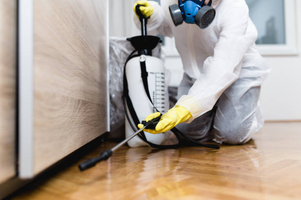 Best Commercial Pest Control Services  in Adelphi, MD