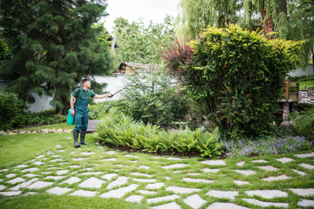 Best Pest Removal Services  in Adelphi, MD