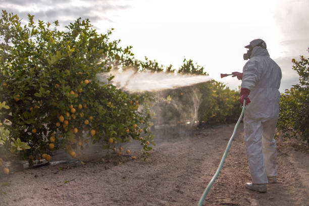 Best Ant Control Services  in Adelphi, MD