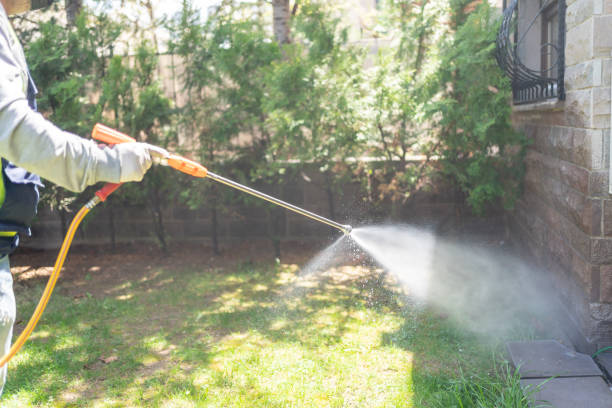 Best Pest Removal Services  in Adelphi, MD