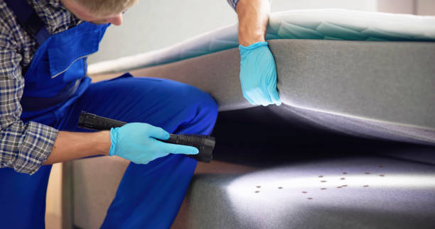 Best Cockroach Control Services  in Adelphi, MD