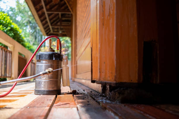 Best Mosquito Control Services  in Adelphi, MD