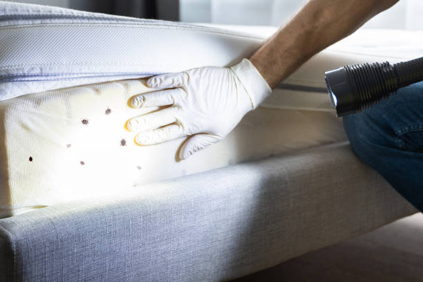 Best Pest Prevention Services  in Adelphi, MD