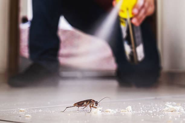 Best Pest Control for Homes  in Adelphi, MD
