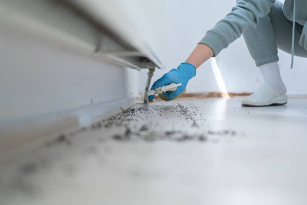Adelphi, MD Pest Control Company